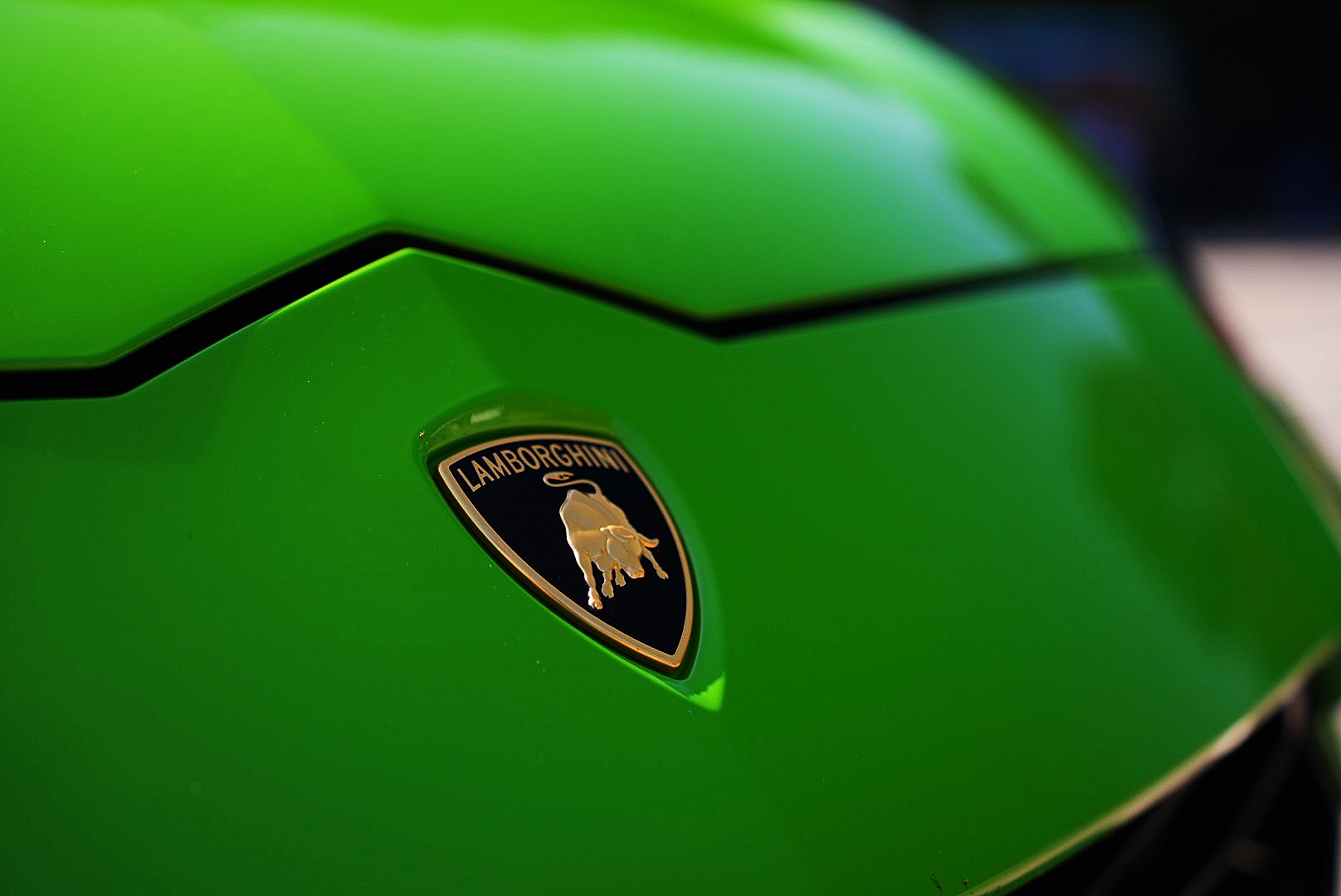 Close-up of the Lamborghini badge on a bright green hood.